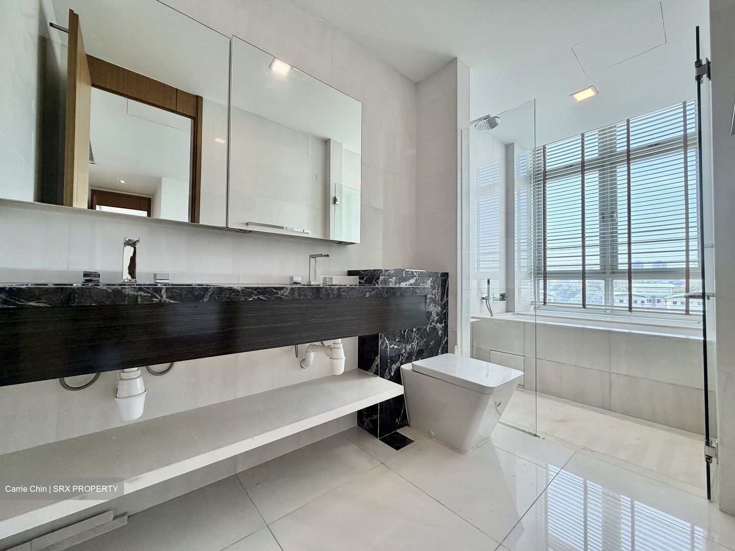Emerald Hill Road (D9), Apartment #580314611